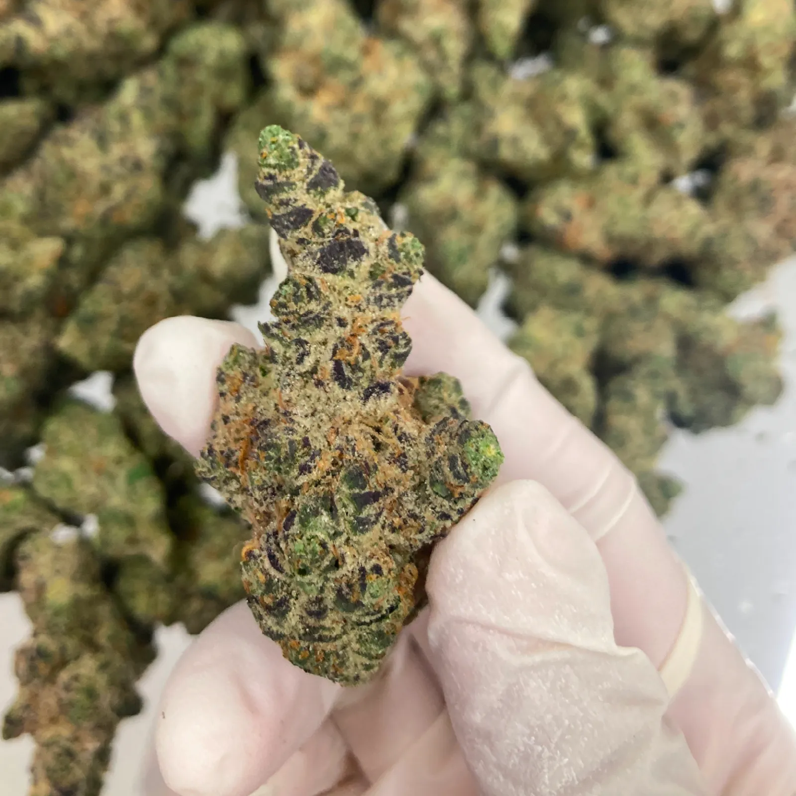 Pineapple Express 2.0