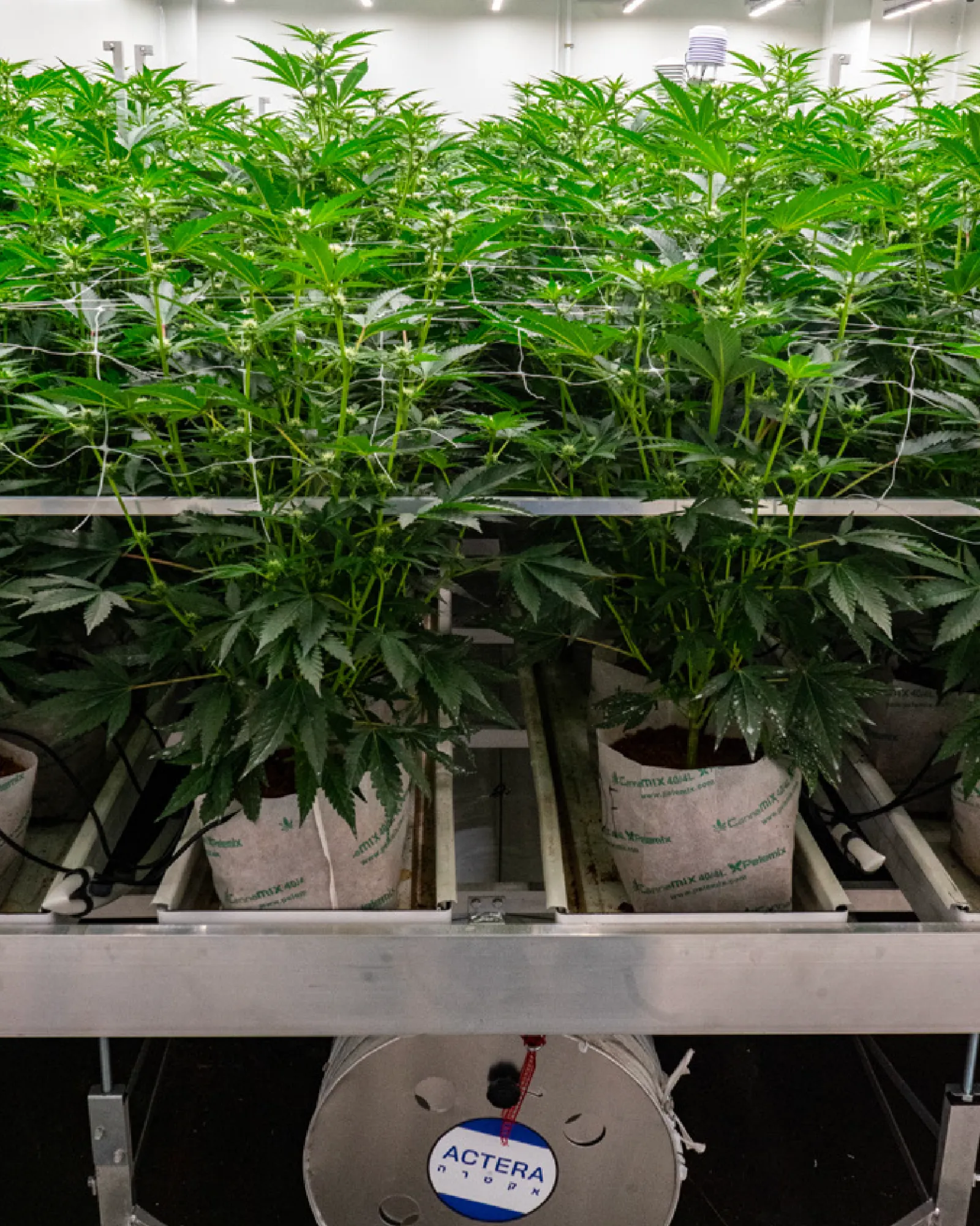 Medical-Grade Indoor Cultivation
