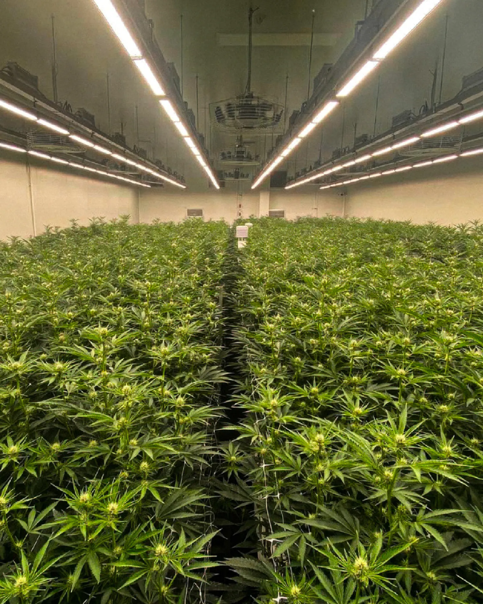 Controlled Environment