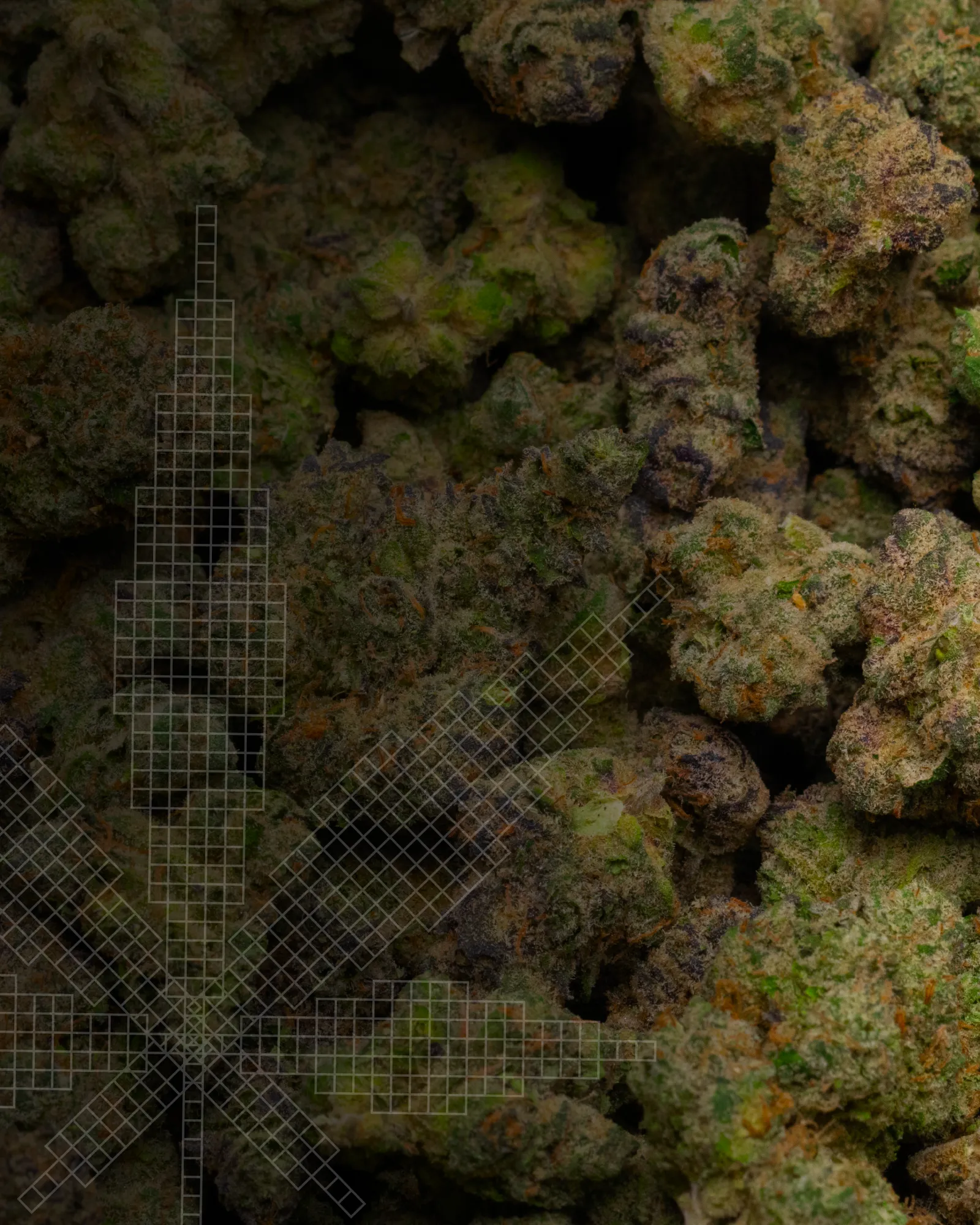 GACP Background