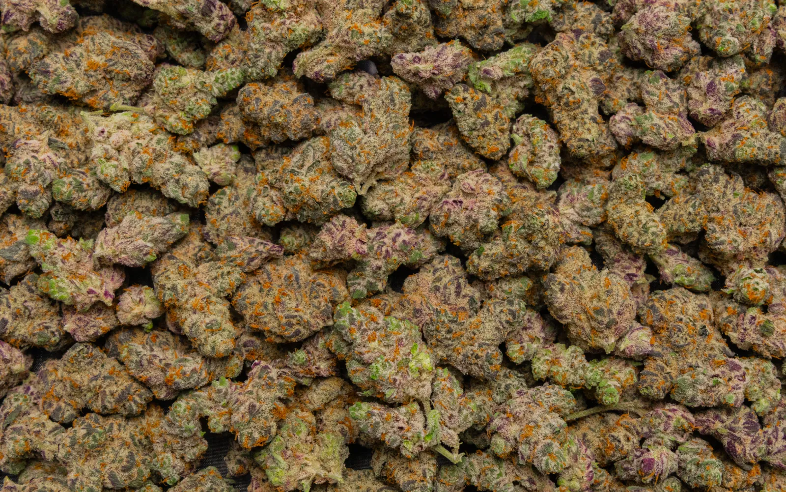 Cannabis Buds