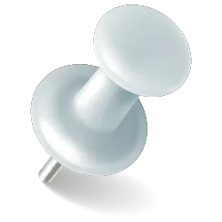 Pin