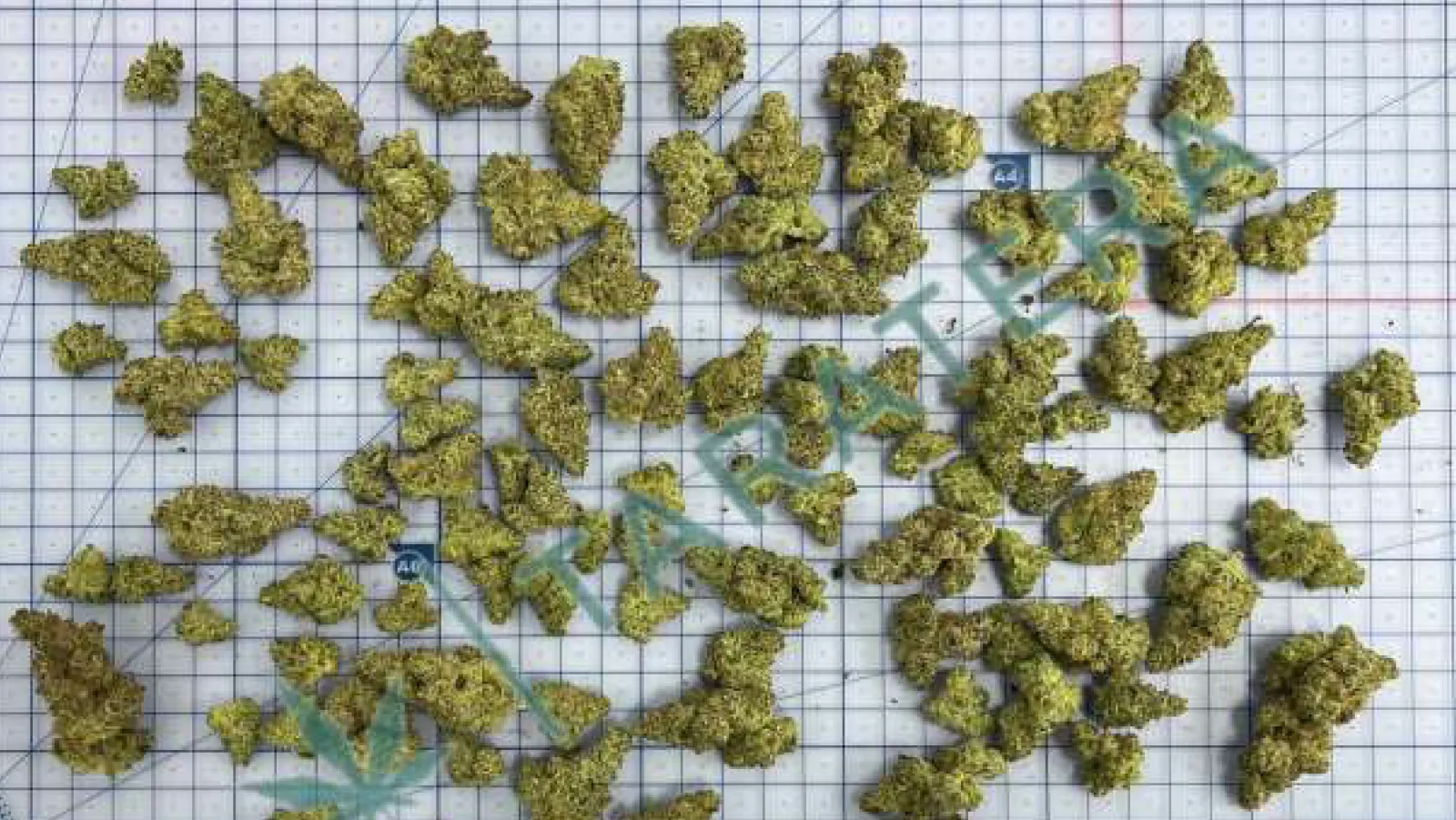 Mixed Size 50g Pile