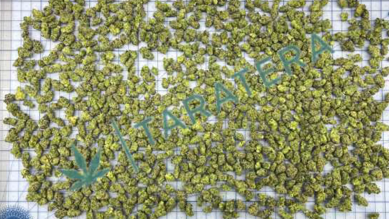 Popcorn Size 50g Pile